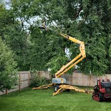 Best Hedge Trimming  in Plymouth, IN