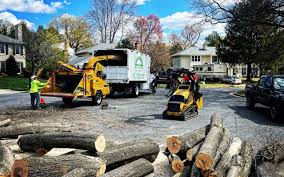 Best Tree Health Inspection  in Plymouth, IN