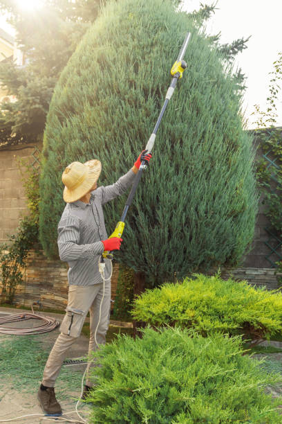 Best Storm Damage Tree Cleanup  in Plymouth, IN